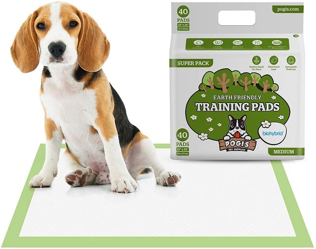10 Best Training Pads UK 2024 | Simple Solutions, World of Pets and More 1
