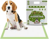 10 Best Training Pads UK 2024 | Simple Solutions, World of Pets and More 1