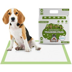 Earth Friendly Training Pads