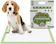 Pogi's Pet Supplies Earth Friendly Training Pads 1