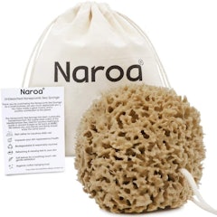 Natural Honeycomb Sea Sponge