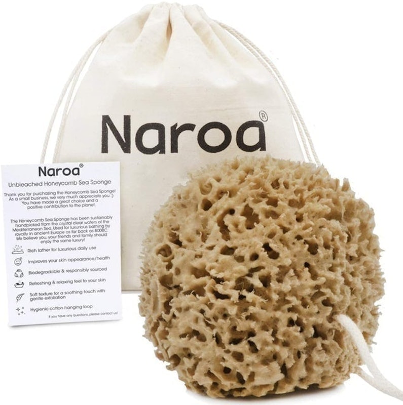 Natural Honeycomb Sea Sponge 1