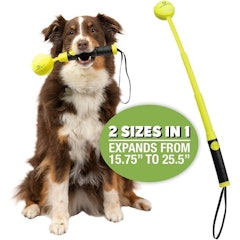 Throw-Go Ball