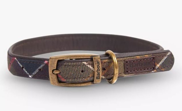 Tartan Dog Collar 1