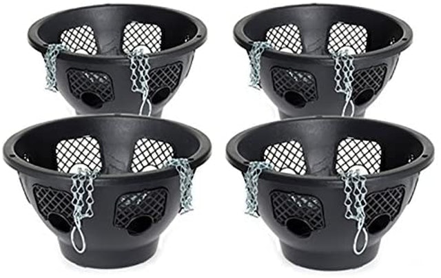 10 Best Outdoor Hanging Baskets UK 2024 | Kingfisher, Sass & Belle and More 5