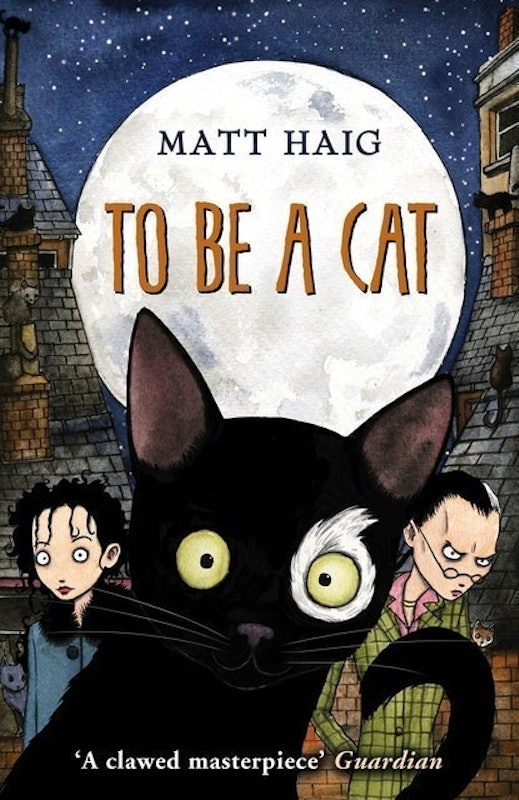 To Be A Cat 1