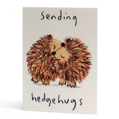 Sending Hegdehugs Greetings Card