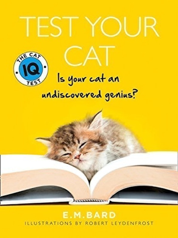 Test Your Cat: The Cat IQ Test 1