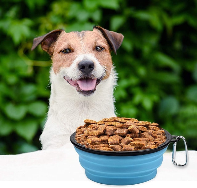 Collapsible Dog Bowl  3