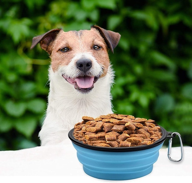 Collapsible Dog Bowl 3