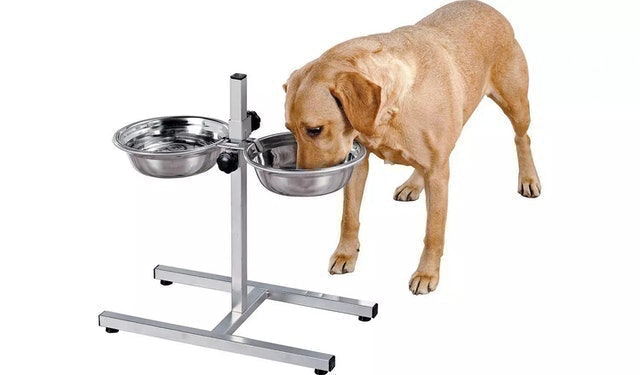 Stainless Steel Dual Pet Dining Set 2