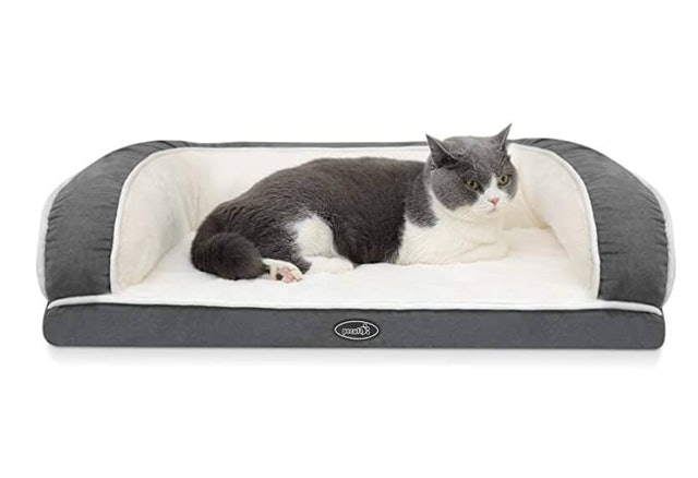 10 Best Pet Sofas UK 2024 | Pawhut, Pecute and More 5