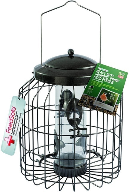 10 Best Squirrel-Proof Bird Feeders UK 2024 5