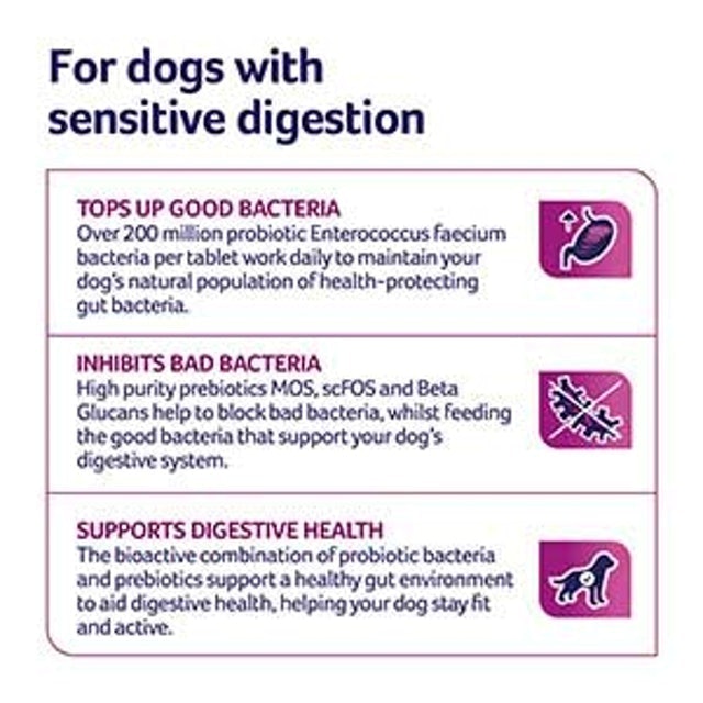 Probiotics with Sensitive Digestion All Ages and Breed Dogs 2