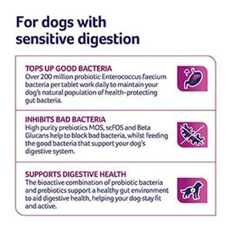 Probiotics with Sensitive Digestion All Ages and Breed Dogs 2