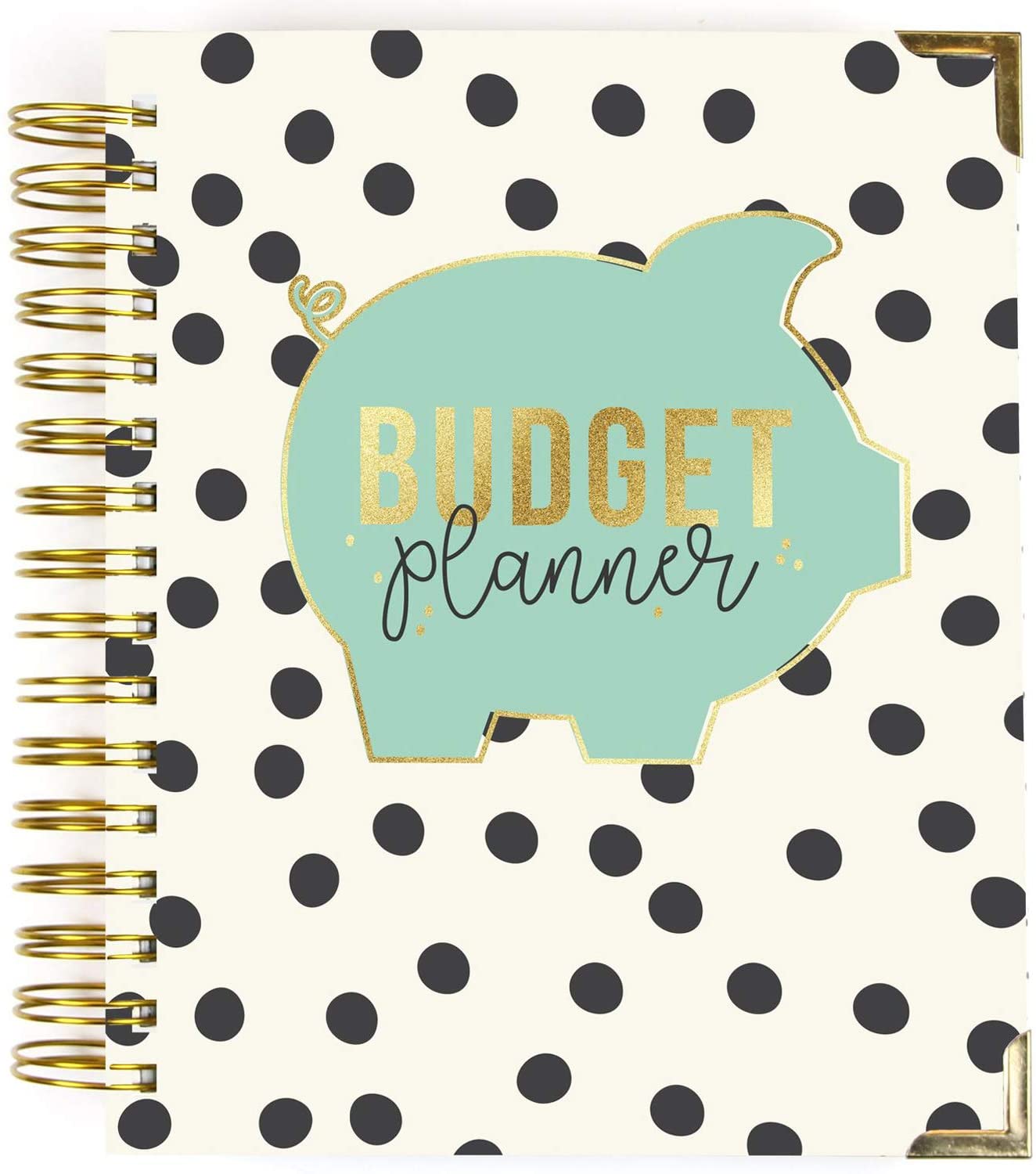 Carpe Diem Budget Planner 1