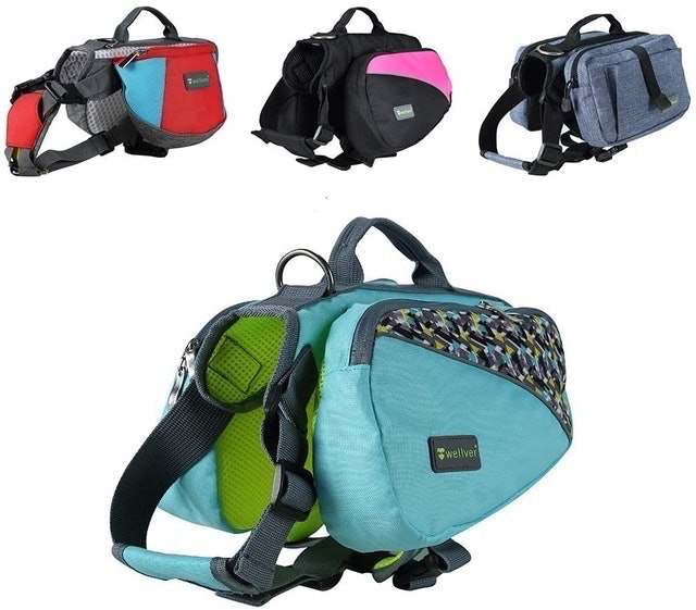 10 Best Saddlebags for Dogs UK 2024 | Ruffwear, Kurgo and More) 4