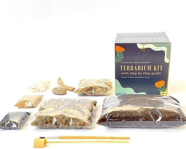 DIY Terrarium Kit 2