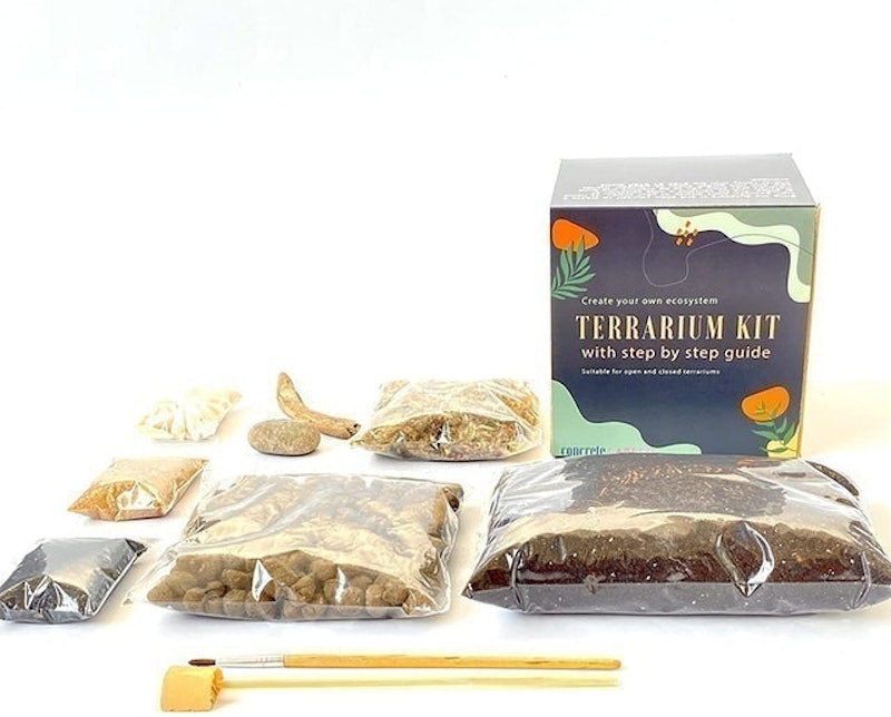 DIY Terrarium Kit 2