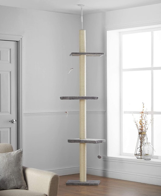 Grey Cat Scratching Tree Floor to Ceiling 1