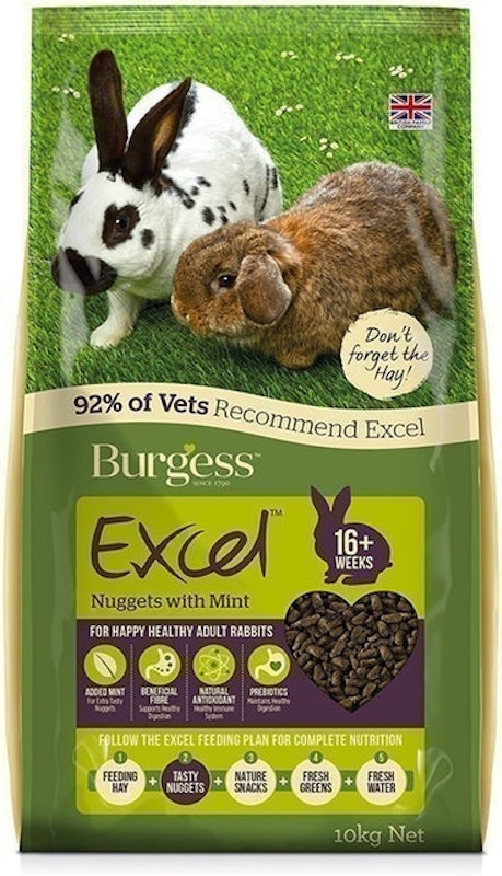 Excel Nuggets With Mint 1