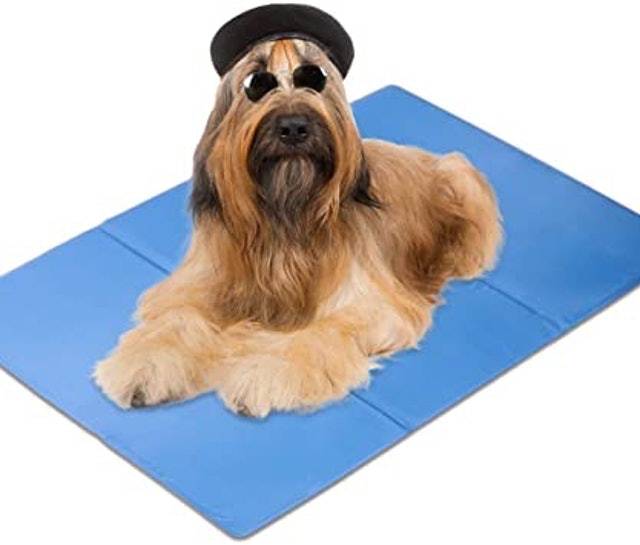 Medium Self Cooling Gel Mat For Dogs 2