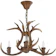 Safavieh Antler Brown Chandelier 1