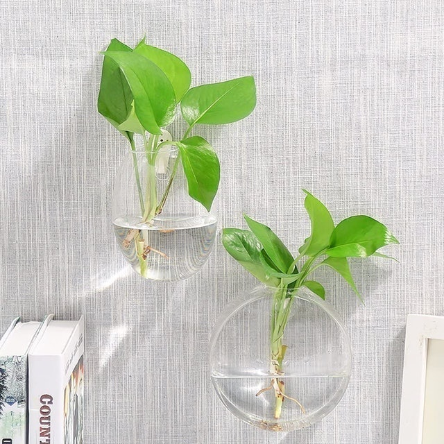 Wall Hanging Glass Terrarium  3