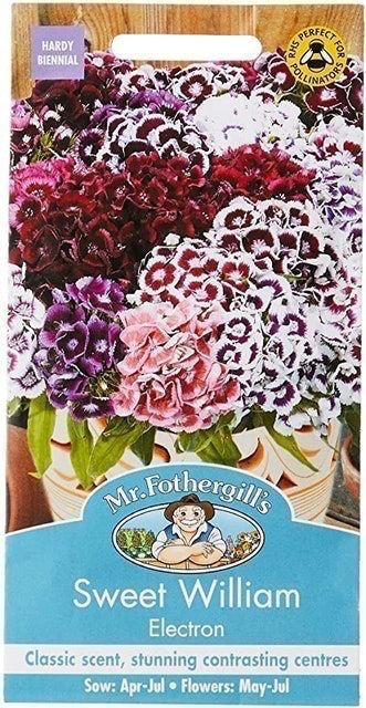 Sweet William Electron, Mixed 1