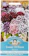 Suttons Sweet William Electron, Mixed 1