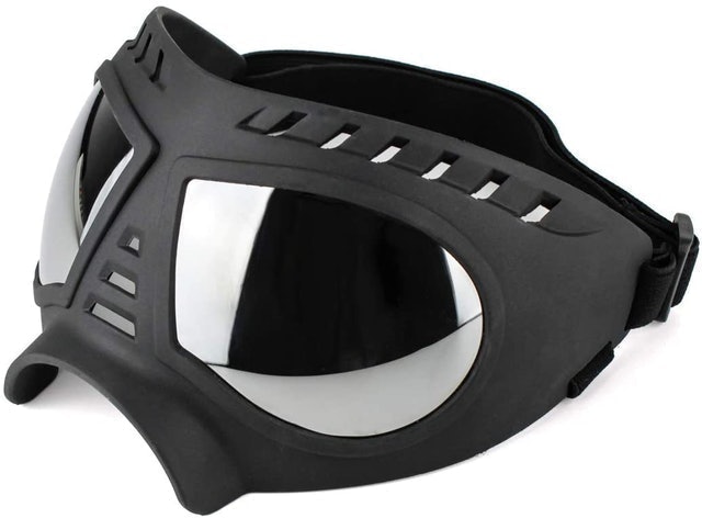 Dog Sunglasses 1