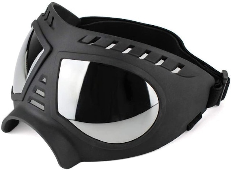 Dog Sunglasses 1
