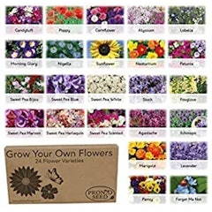 Bumper Flower Seeds