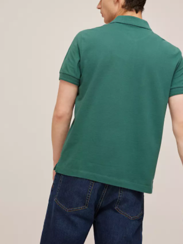 Supima Cotton Pique Polo Shirt 3