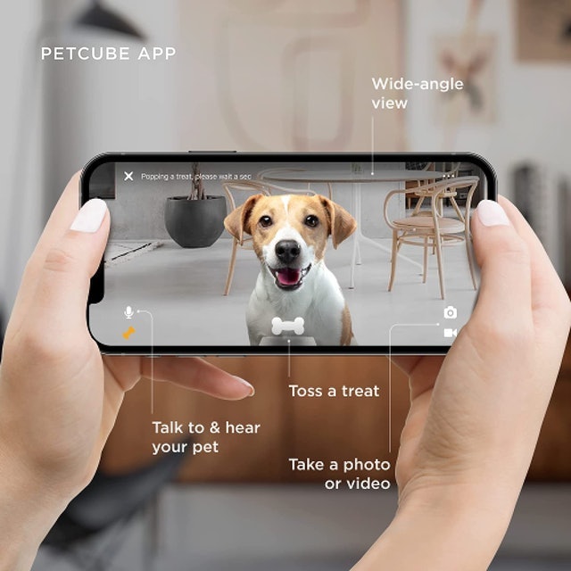 Treat Dispenser & Pet Camera 2