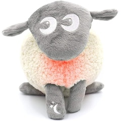 Ewan The Dream Sheep