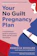 Rebecca Schiller Your No Guilt Pregnancy Plan 1