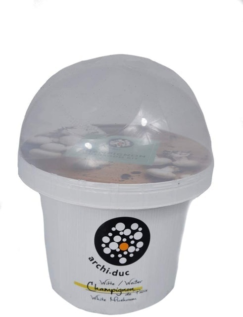 White Button Mushroom Grow Kit 2