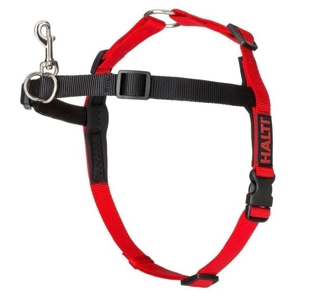 10 Best Dog Harnesses UK 2024 | Discourage Bad Habits and Aid Mobility 5