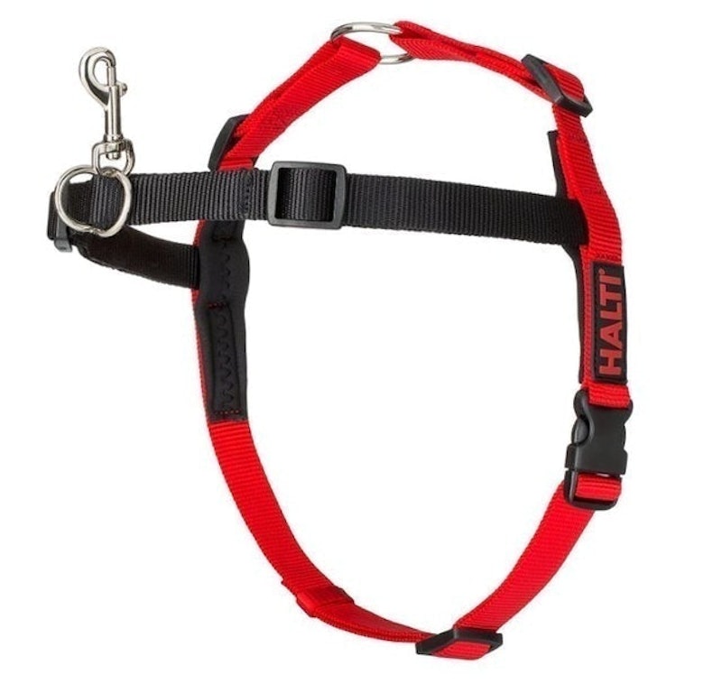 Halti Front Control Dog Harness 1