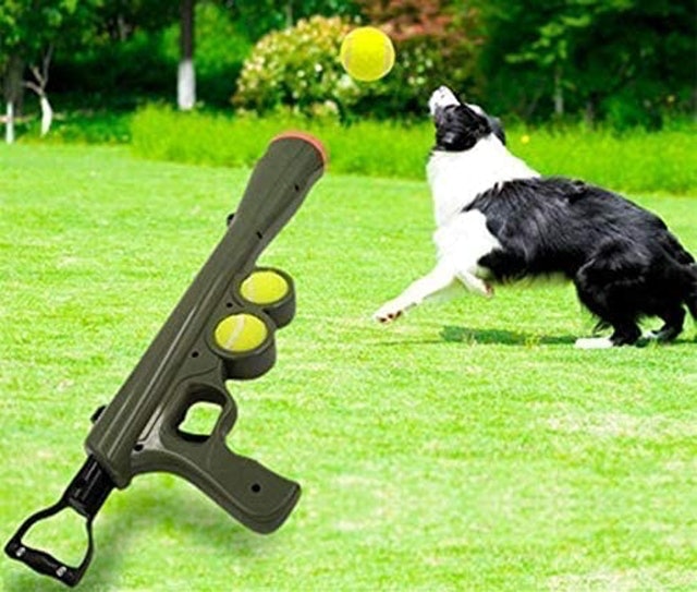 Best dog ball top launcher uk