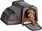 10 Best Dog Carriers UK 2024 | PetsFit, Rosewood and More 4