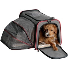 Foldable Pet Carrier