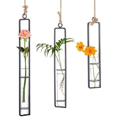 Hanging Planter Terrarium