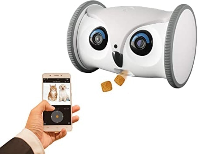 10 Best Pet Cameras 2024 | UK Filmmaker Reviewed 3