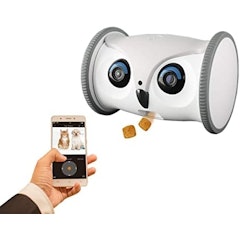Owl Robot