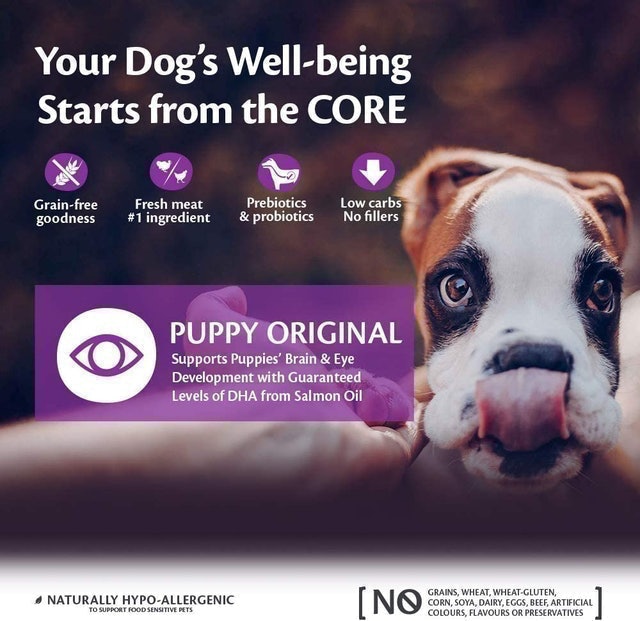 Dry Puppy Food - Turkey & Chicken 2