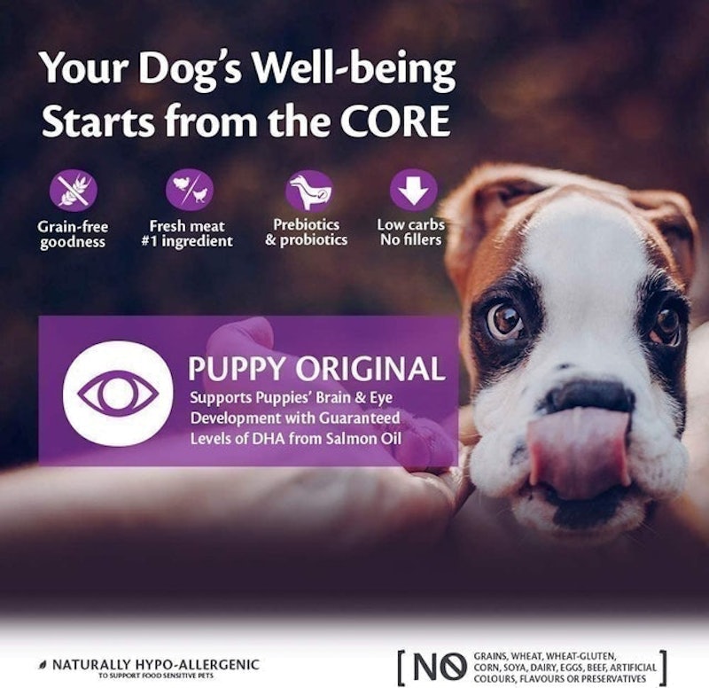 Dry Puppy Food - Turkey & Chicken 2
