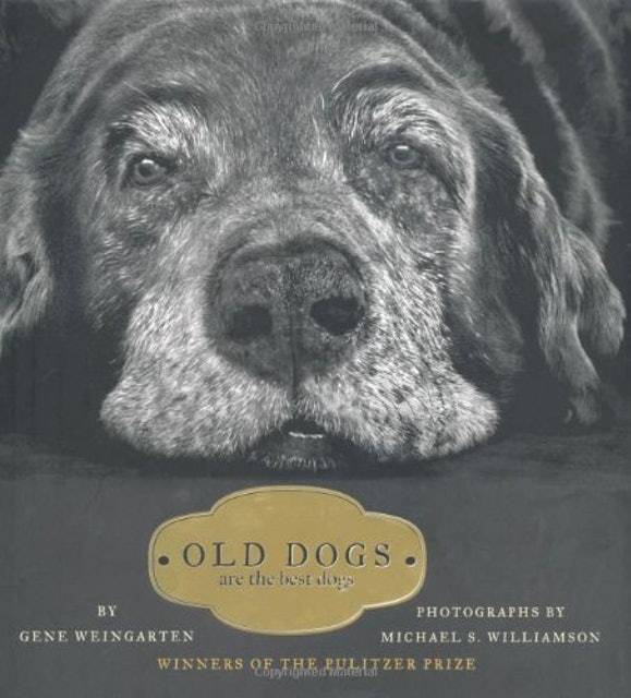 Old Dogs Are the Best Dogs 1
