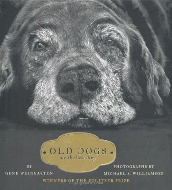 Old Dogs Are the Best Dogs 1